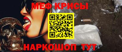 спиды Кингисепп
