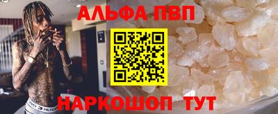 спиды Кингисепп